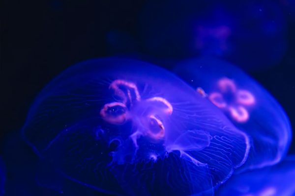 AI tools are changing how we design in 2025